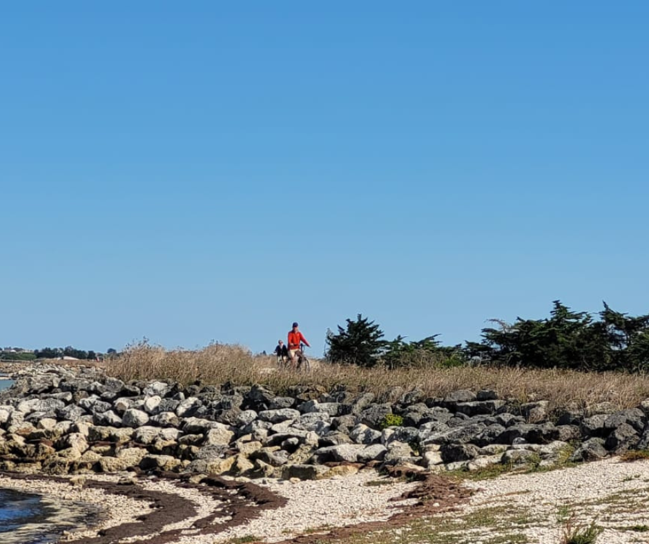 Fietsen op Île de Ré