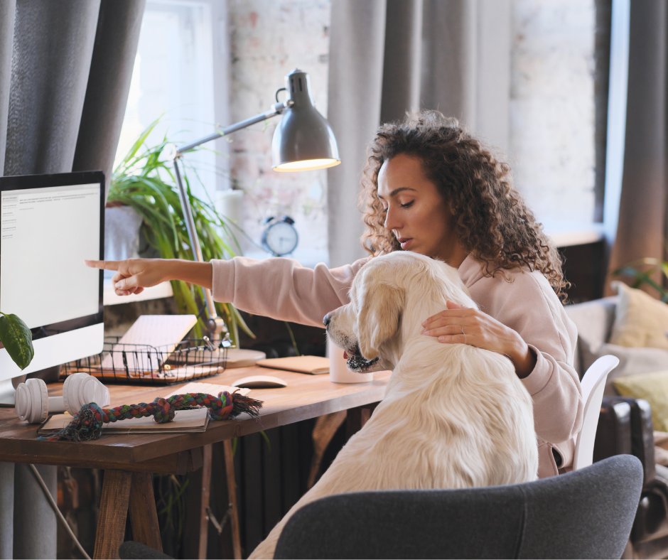 Verlatingsangst bij honden. Wat kun je er aan doen?